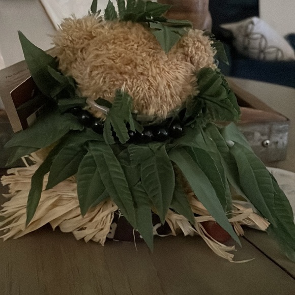 Hawaiian Collectibles Passport Bearfoot Hoku plush stuffed bear like new - Picture 3 of 5